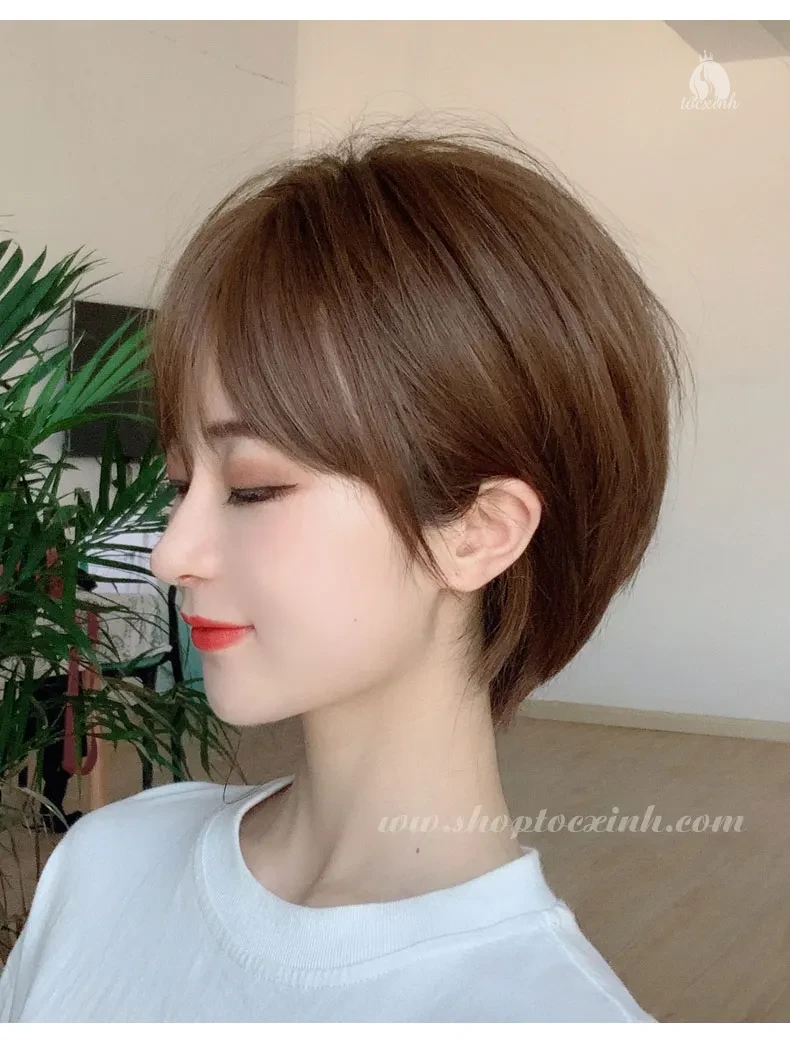 Địa chỉ mua tóc giả đường Đặng Văn Ngữ Quận Phú Nhuận – Gợi ý cho phái đẹp trung niên 29 mua toc gia duong dang van ngu quan phu nhuan 15