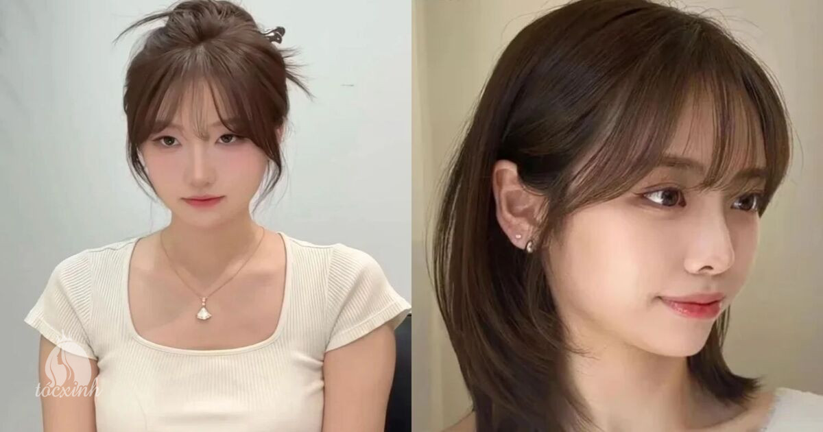 Top 30+ Mẫu Tóc Mái Pháp dẫn đầu xu hướng. Mách Bạn Cách Chăm Sóc Tóc Mái Pháp Đẹp Lâu – Không Bị Bết 41 Kiểu tóc mái Pháp cho mặt vuông