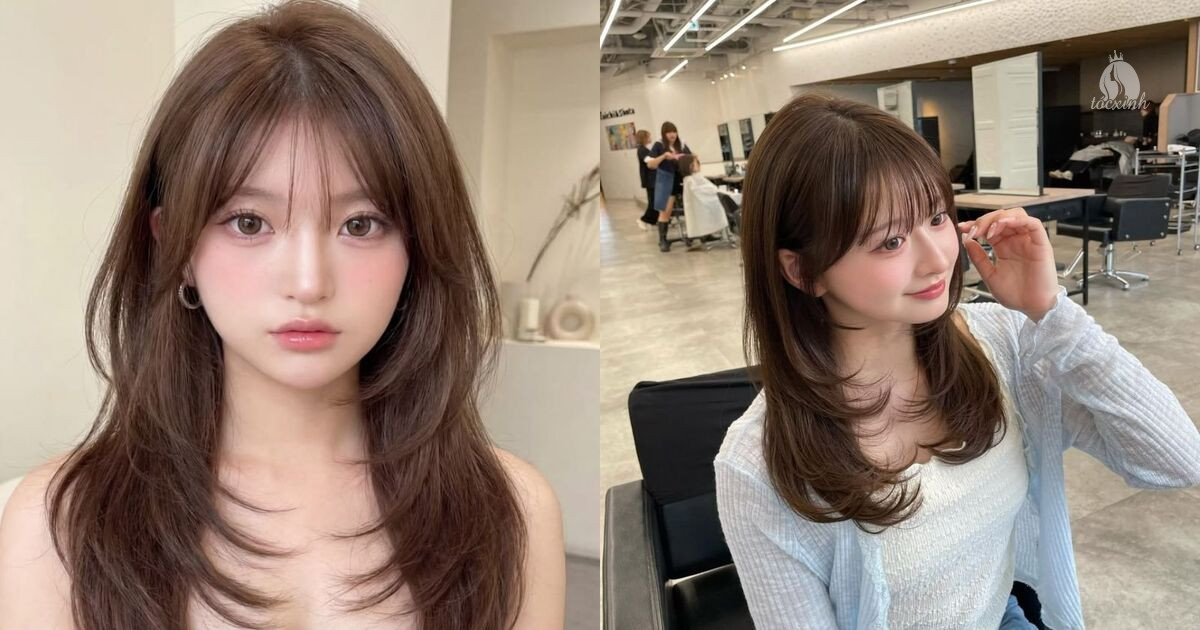 Mẹo chọn mái pháp