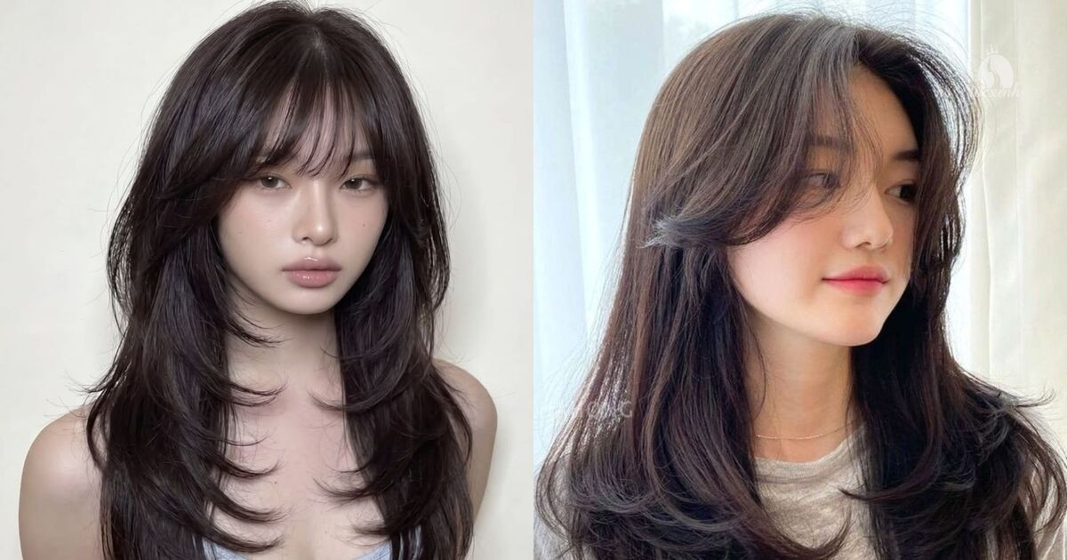Mái pháp khác gì mái bay? Nên chọn kiểu mái nào để tôn mặt? 9 So sánh mái bay và mái pháp