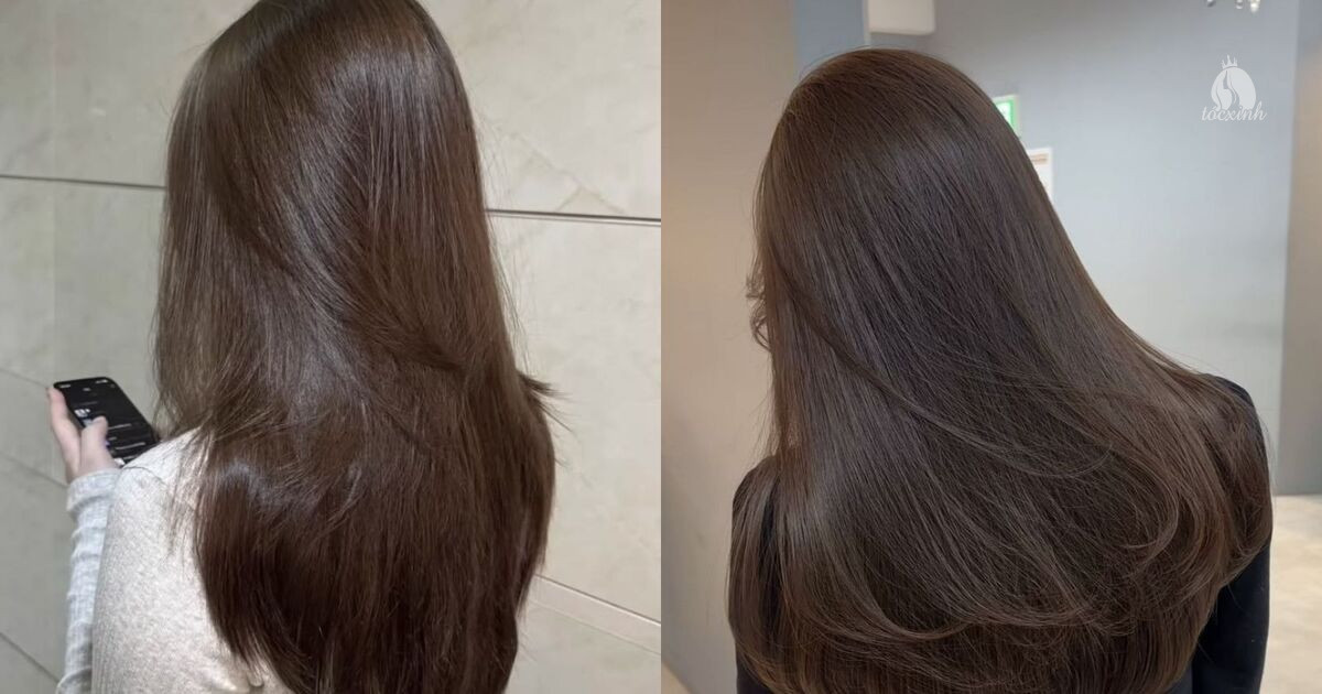 Top 25+ kiểu tóc dài nữ đẹp, trẻ trung, không lo lỗi mốt 50 Tóc dài nhuộm nâu lạnh