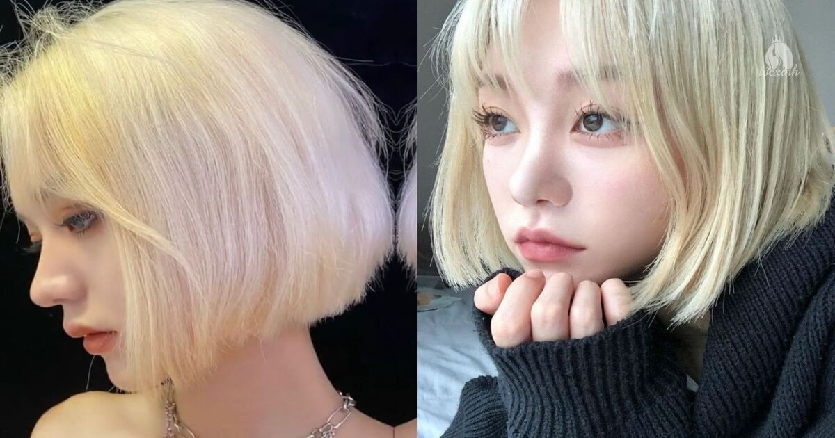 Top 22+ kiểu tóc ngắn nữ đẹp, cá tính chuẩn trend 2026 cho nàng 26 tóc ngắn nữ màu bạch kim
